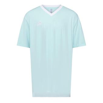 Adidas Miesten Entrada 22 -paita