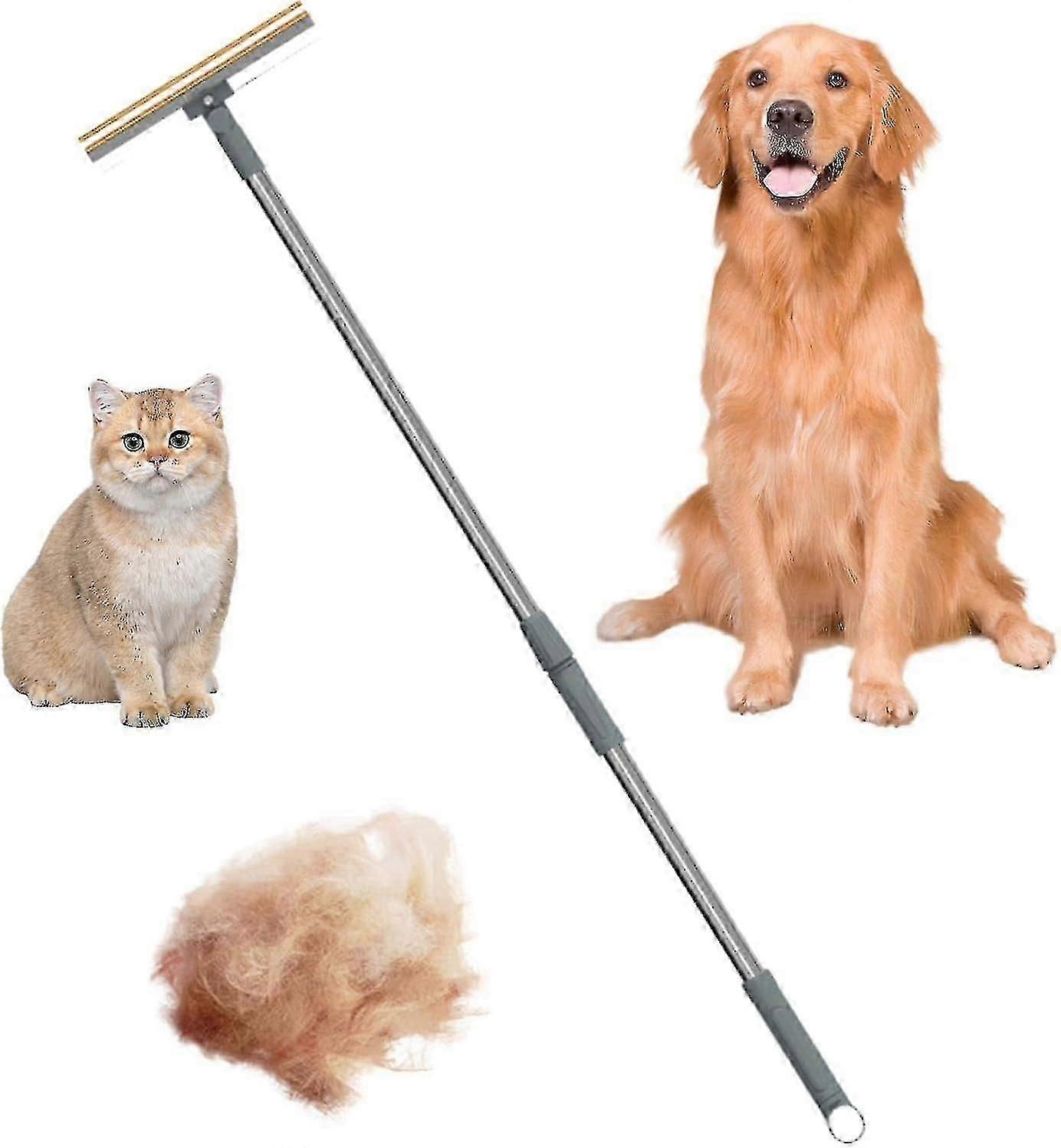 Râteau à tapis pour enlever les poils d'animaux et les peluches, grattoir en acier inoxydable, manche rétractable et réglable, réutilisable, 1 pièce