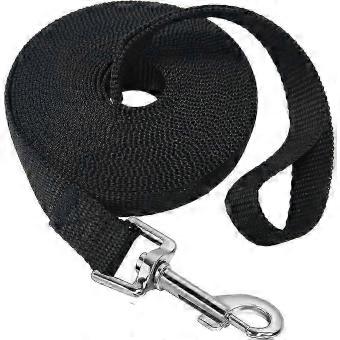 10m Extra Long Dog Training Lead