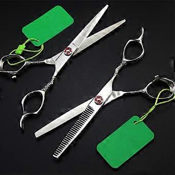 Professional Hair Cutting Scissors Set, Japanese 440C Stainless Steel 6 Inch Barber Thinning Shears for Salon Stylists