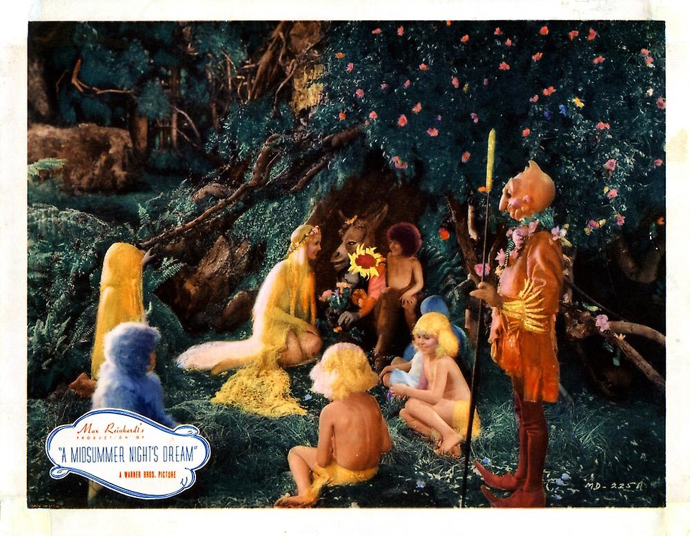 A Midsummer Night'S Dream Poster