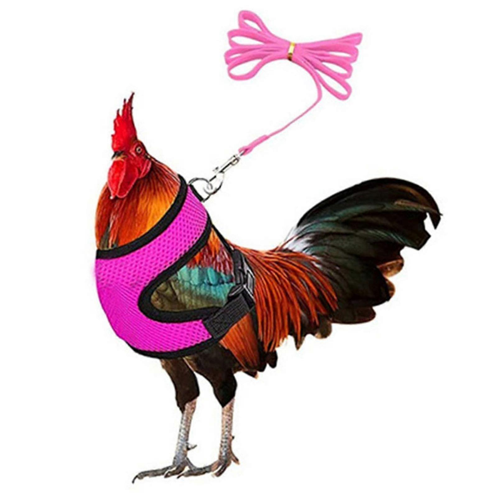 Adjustable Chicken Harness With Leash- Comfortable Hen Vest Breathable Mesh