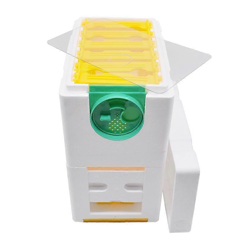 Honey Beehive Frames Beekeeping Box Bee Hive King Pollination Box Bee Mating Copulation Box Beekeeping Equipment