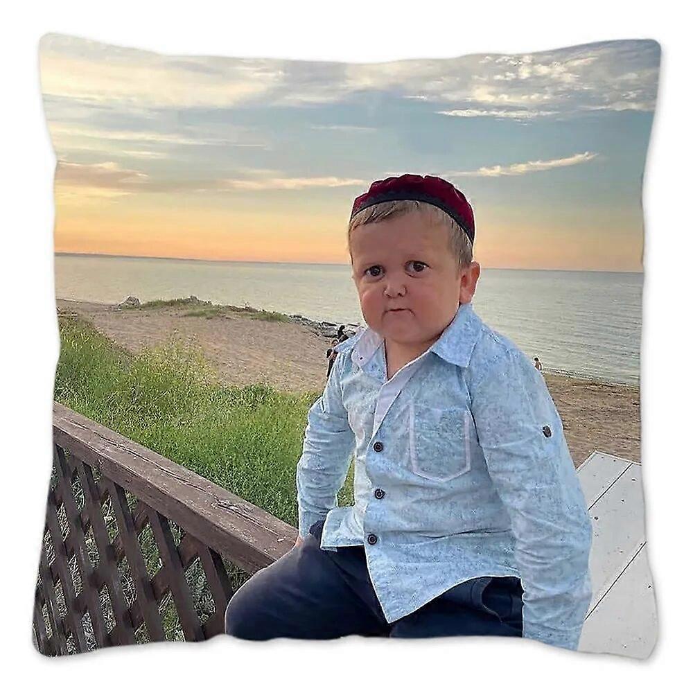 Hasbulla وسادة القضية الكرتون الفن ديكور المنزل وسادة غطاء 45x45cm مربع الخوخ الفراء المخملية أريكة غرفة نوم غرفة المعيشة وسادة