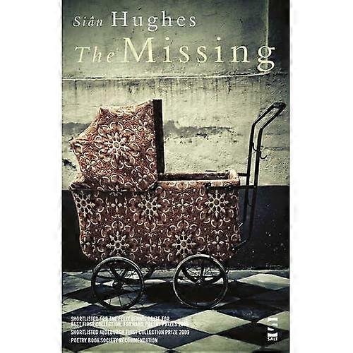 The Missing (Salt Modern Poets S.)