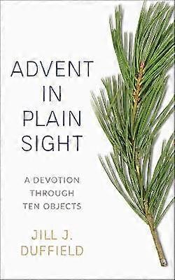 Advent in Plain Sight