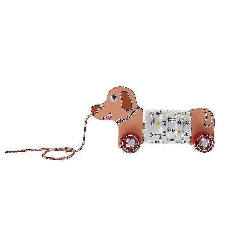 21.5X11.5cm Assorted Color Science & Exploration Sets Wooden Pull Along Toy Educational Playthings W