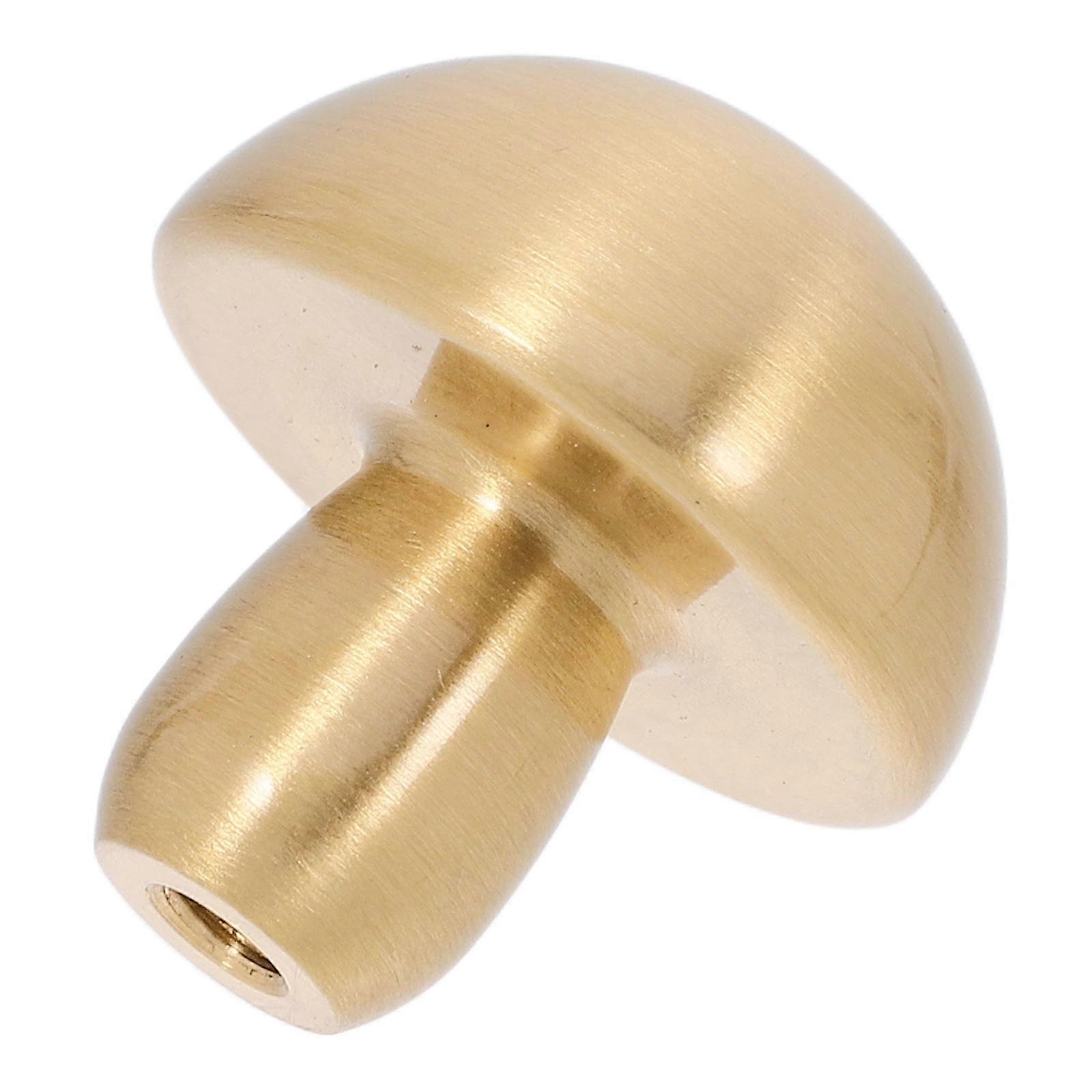 Kitchen Cabinet Knobs Drawer Pulls for Homeowners Designers in Golden 1Pack