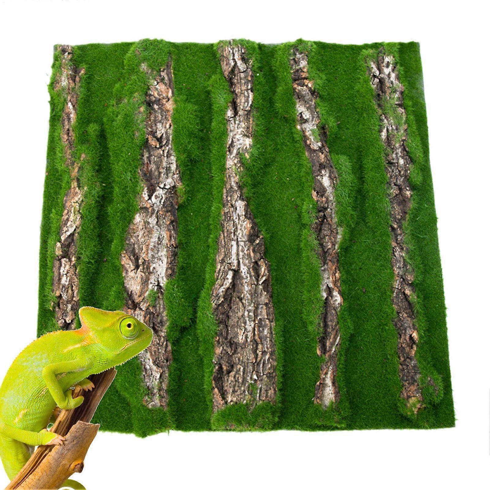Reptile Cork Terrarium Background, Bark Background for Lizard Terrarium Decoration, 30 x 30 cm