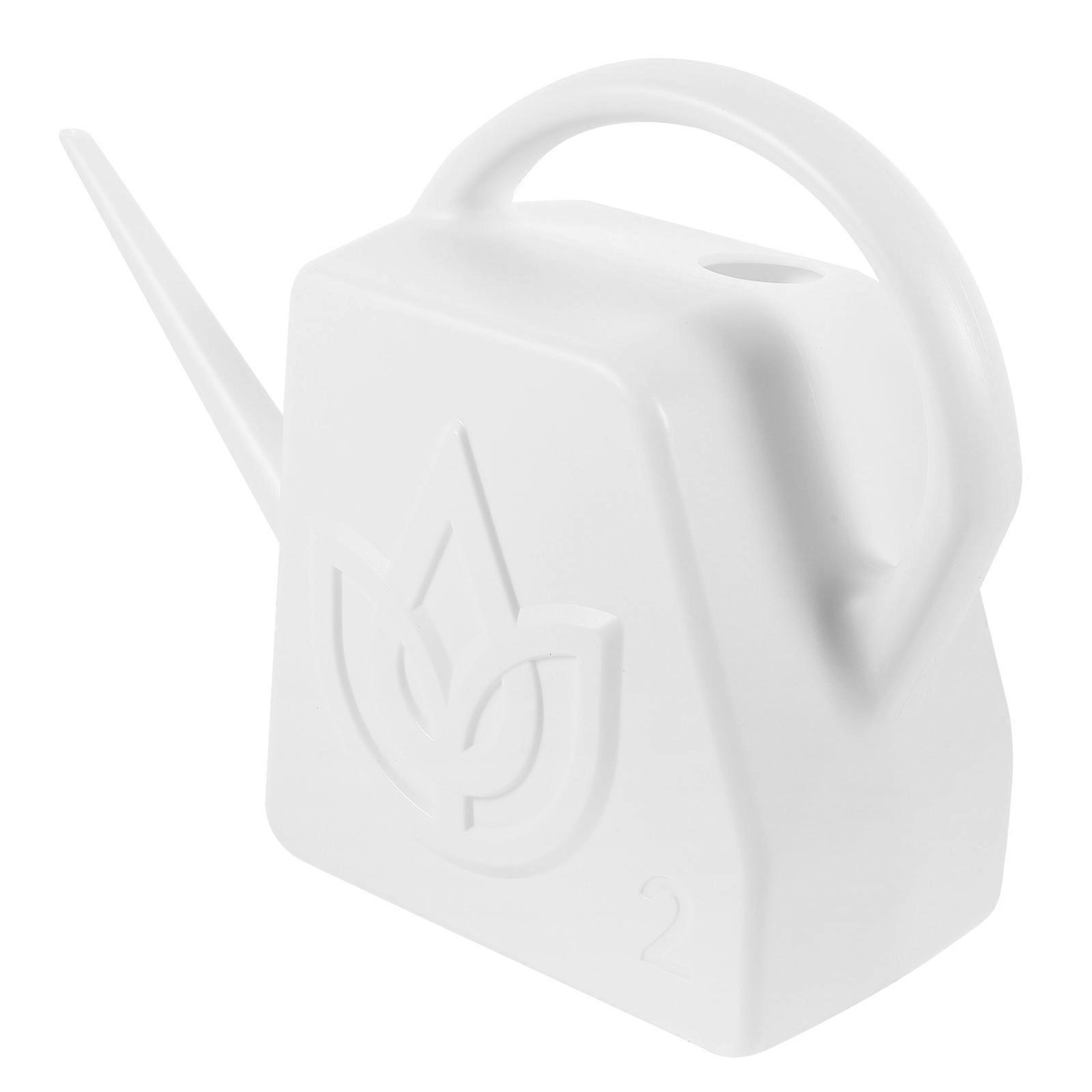 Here's a polished and professional product description based on your input:
**Plastic Watering Can with Long Spout and Ergonomic Handle – Large