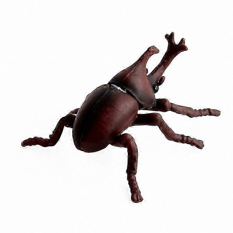 Realistic Insect Figures Ant Stag Beetle African Armor Beetle Animal Models Action & Toy Figures Educational Playsets for Kids