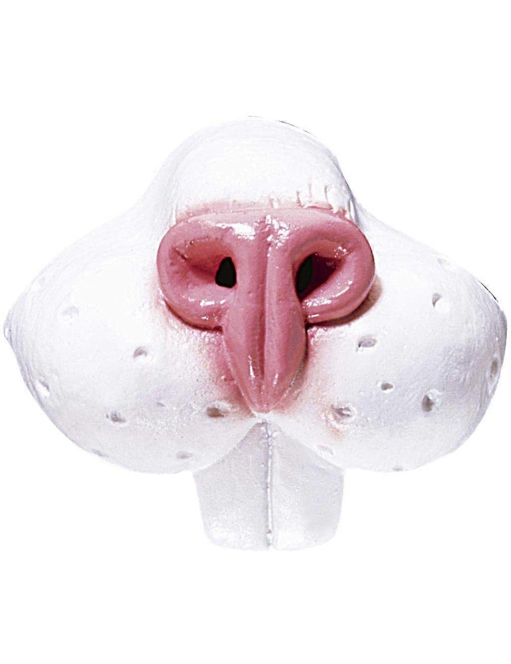 Adult rabbit nose