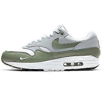 Nike Air Max 1 Spiral Sage DB5074-100