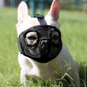 Adjustable Breathable Dog Muzzle Compatible with English Bulldog French Bulldog Pug Pekingese Shih-Tzu
