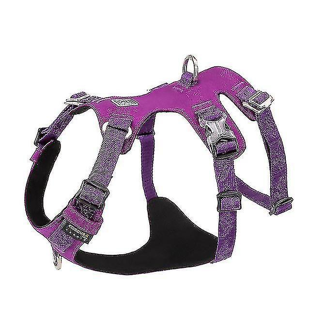 Pet Nylon Harness Light Weight Double H Shape Embroidery 5 Adjustable Positions Waterproof