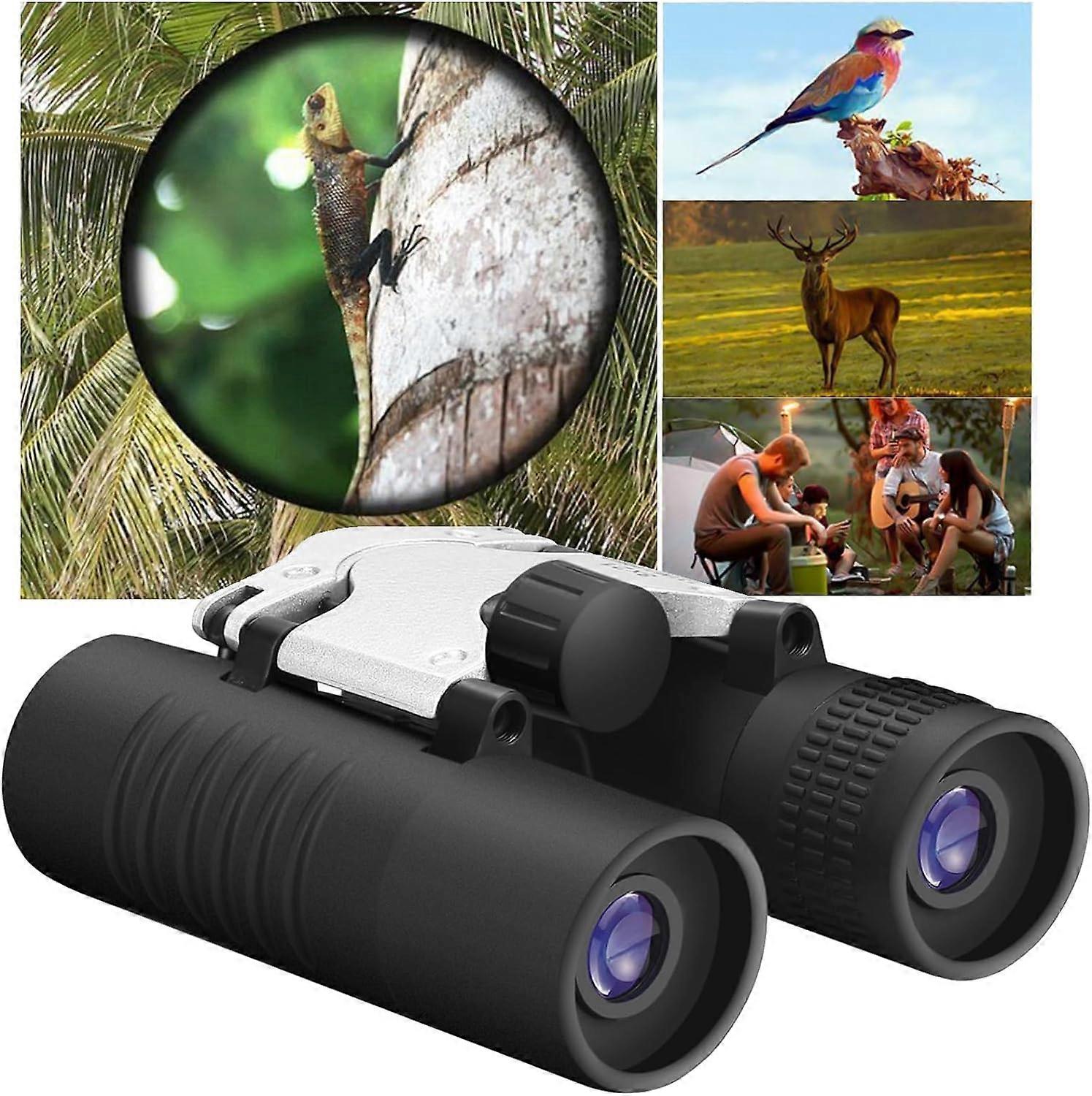 8x21 Binoculars for Adults and Kids,HD Binoculars for High Powered,Professional Waterproof/Compact Binoculars,High Powered Easy Focus Binoculars for B