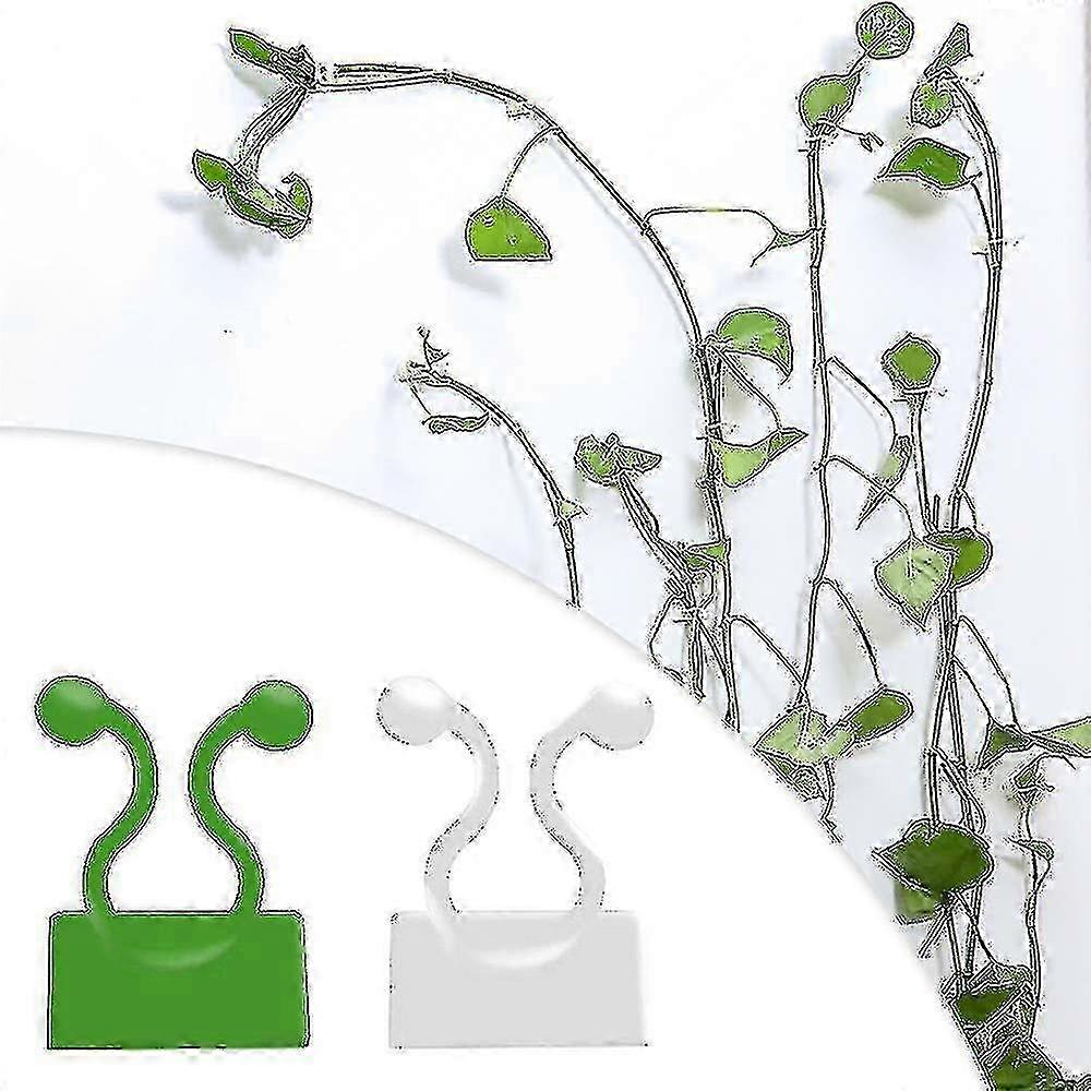 Invisible Plant Climbing Clips for Wall Fixing with Sticky Hooks - Set of 20 Green and White Clips