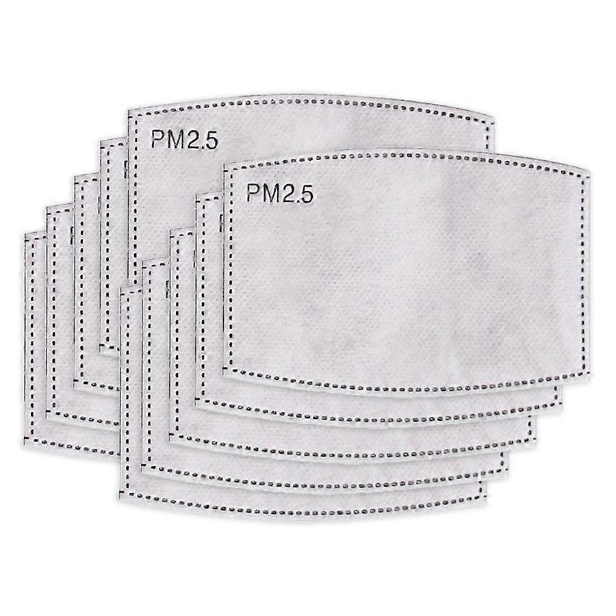 Fourth Element Pm2.5 Removable Filter 10 Pack