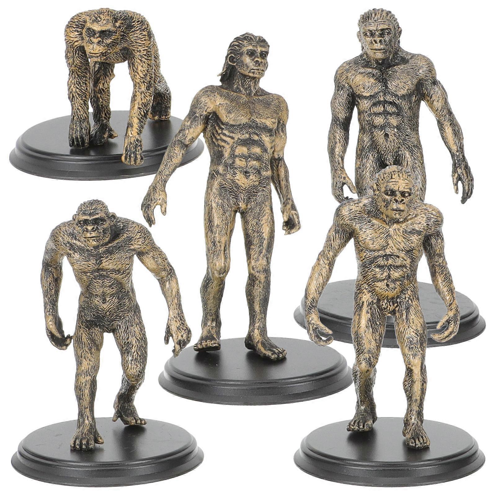 Educational Man Model Human Evolution Figures for Kids 1Set