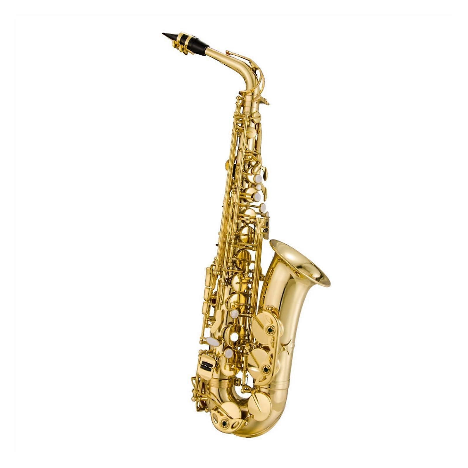Alto Saxophone Eb E Flat for Beginners with Easy Play Ergonomics and Consistent Practice Tone