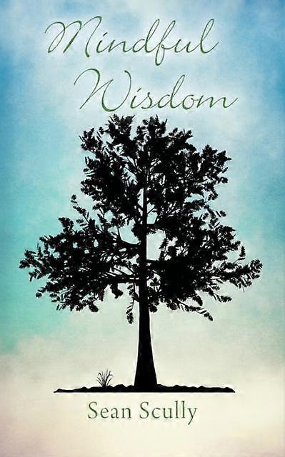 Mindful Wisdom - Sean Scully - Paperback - en Book