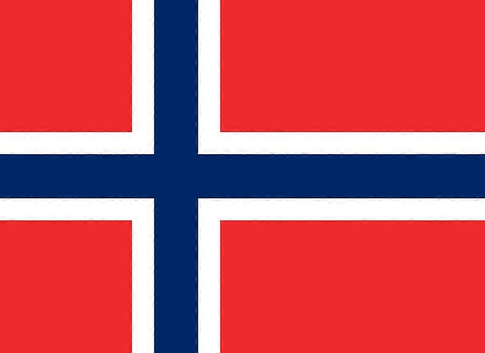 Norway Flag CU0253
