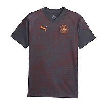 Puma Mens 2023/24 Manchester City FC Training Football Jersey