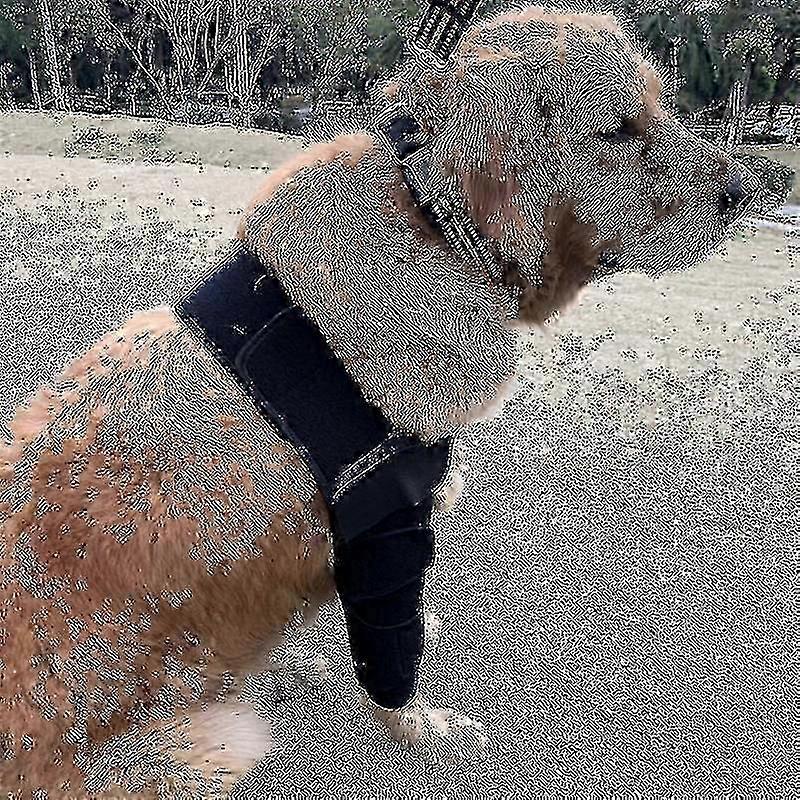 Soft Compression Elbow Pads For Dogs