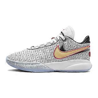 Nike LeBron 20 The Debut GS DQ8651-100