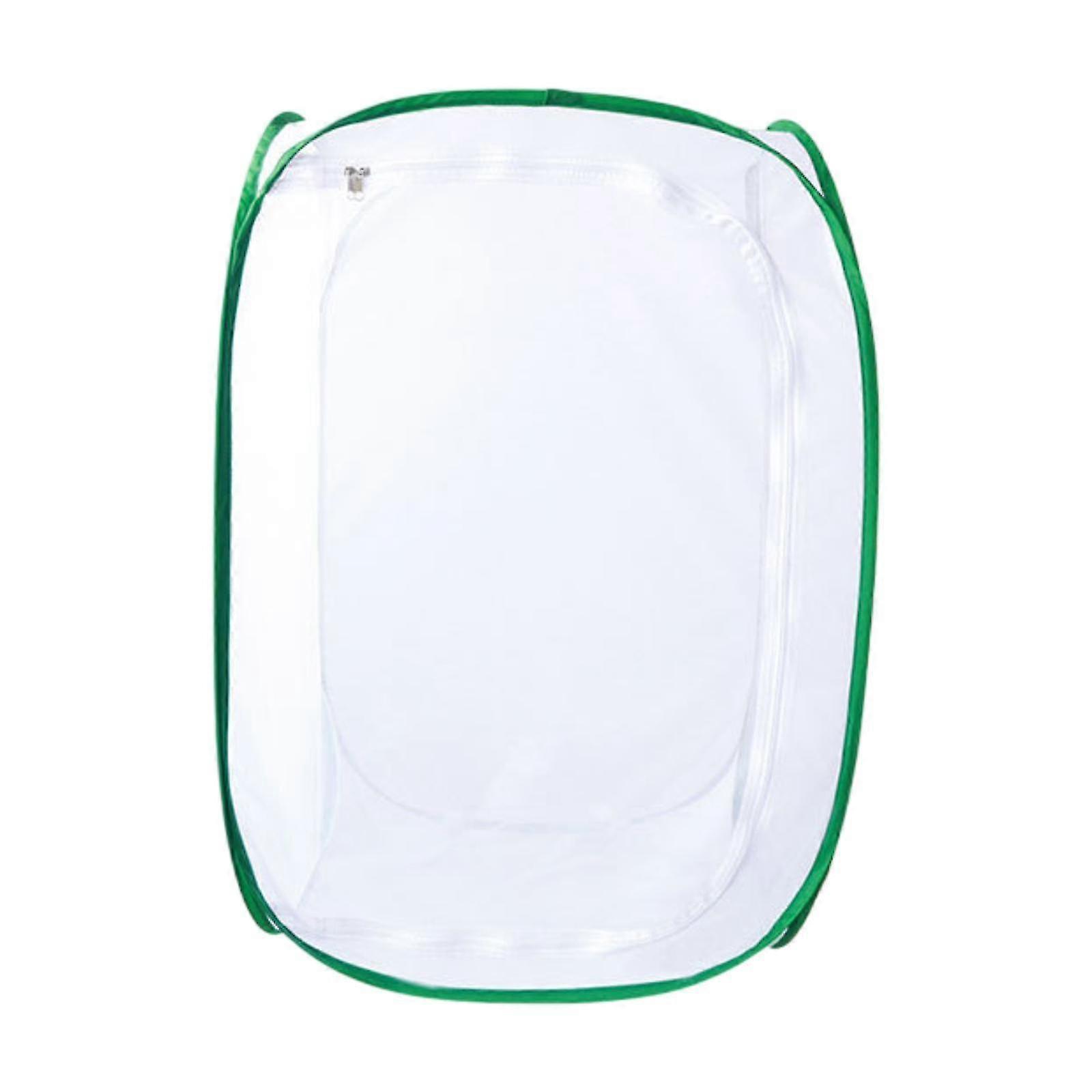 Sturdy Mesh Butterfly Observation Tent