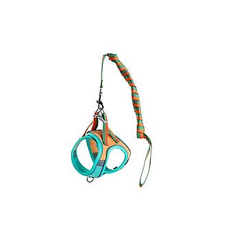 Cat Harness And Leash Set,escape Proof Kitten Vest Harness With Collars For Walking, Easy Control For Small Large Kitten,m