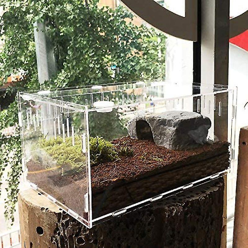 Mini Terrarium Transport Box, Acrylic Reptile Feeding Box, Portable Reptile Breeding Box Transparent