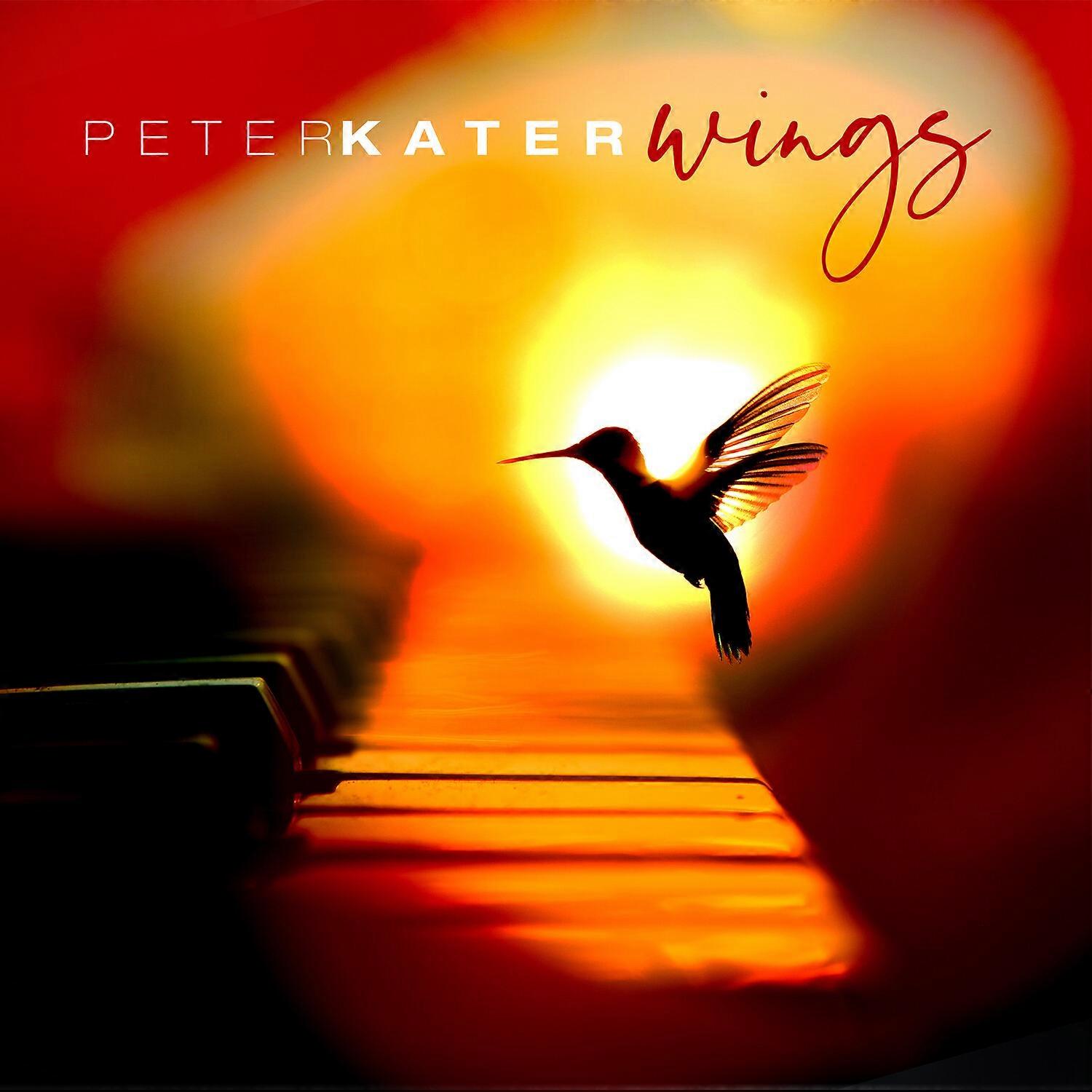 Peter Kater - Wings  [COMPACT DISCS] USA import