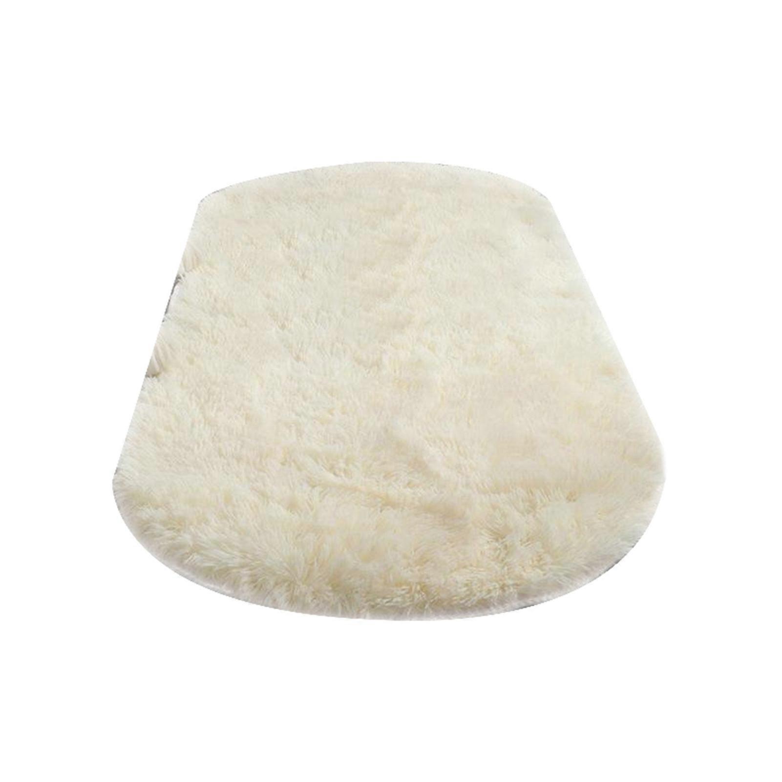 Oval Shape Plush Carpet Rug Furry Comfortable Super Soft Carpet for Office Dormitory Balcony