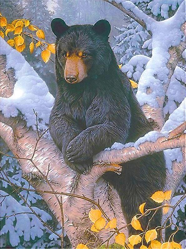 Dww- 30 x 40 cm ,Ours noir Diamond Painting Broderie Diamant Peinture  Canevas 5d Tableau Enfant Adulte Strass Lot Puzzle Dessin Decoration Murale Cha