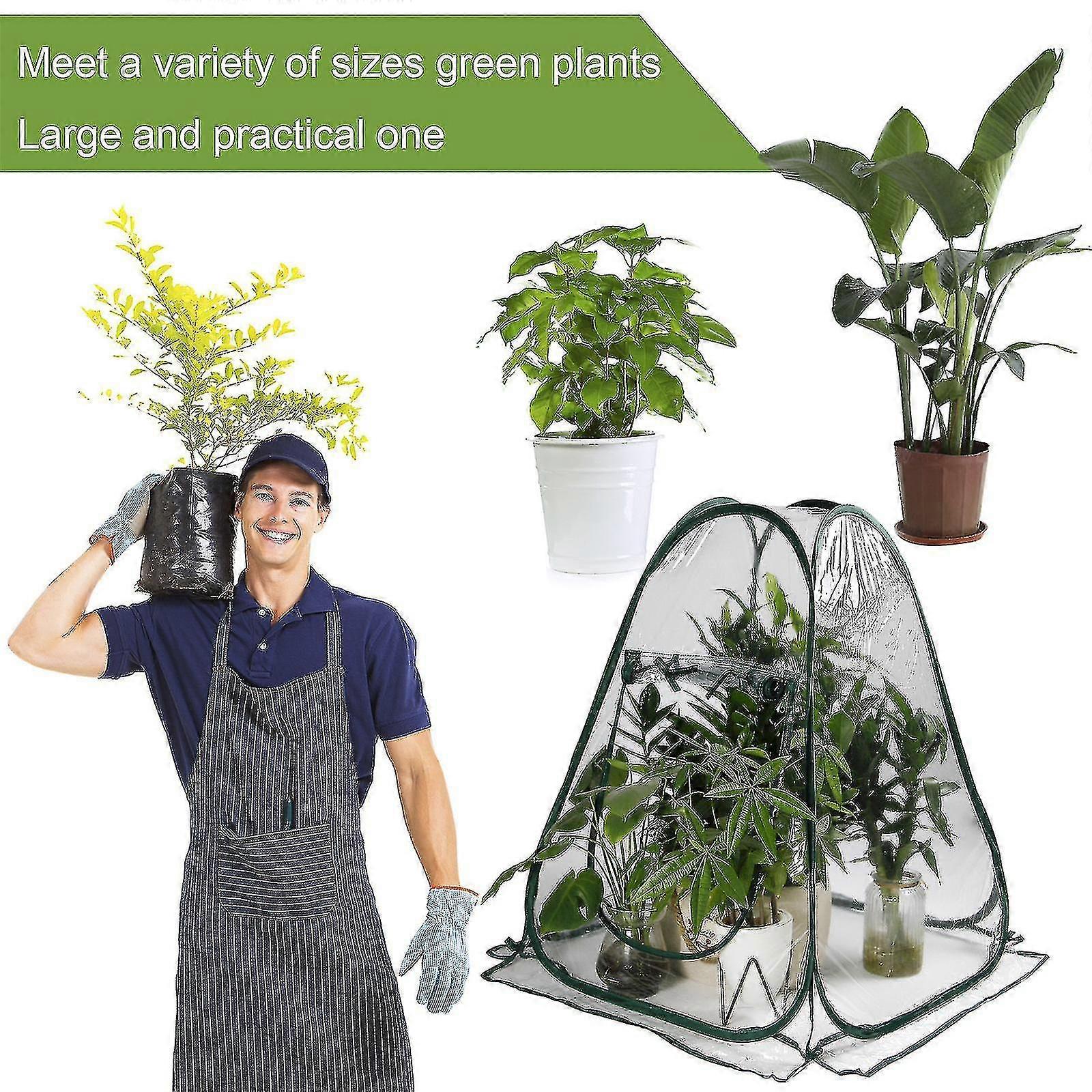 Alg Mini Kasplant Overwintertent Winter Bescherming Kas