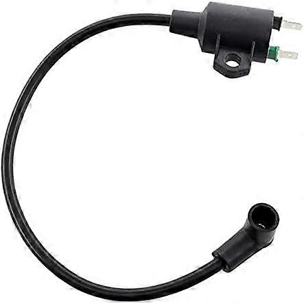 Ignition Coil for Einhell STE800 ST8000 STE8000\\/1 STE800\\/1 BEX Generator Edition a