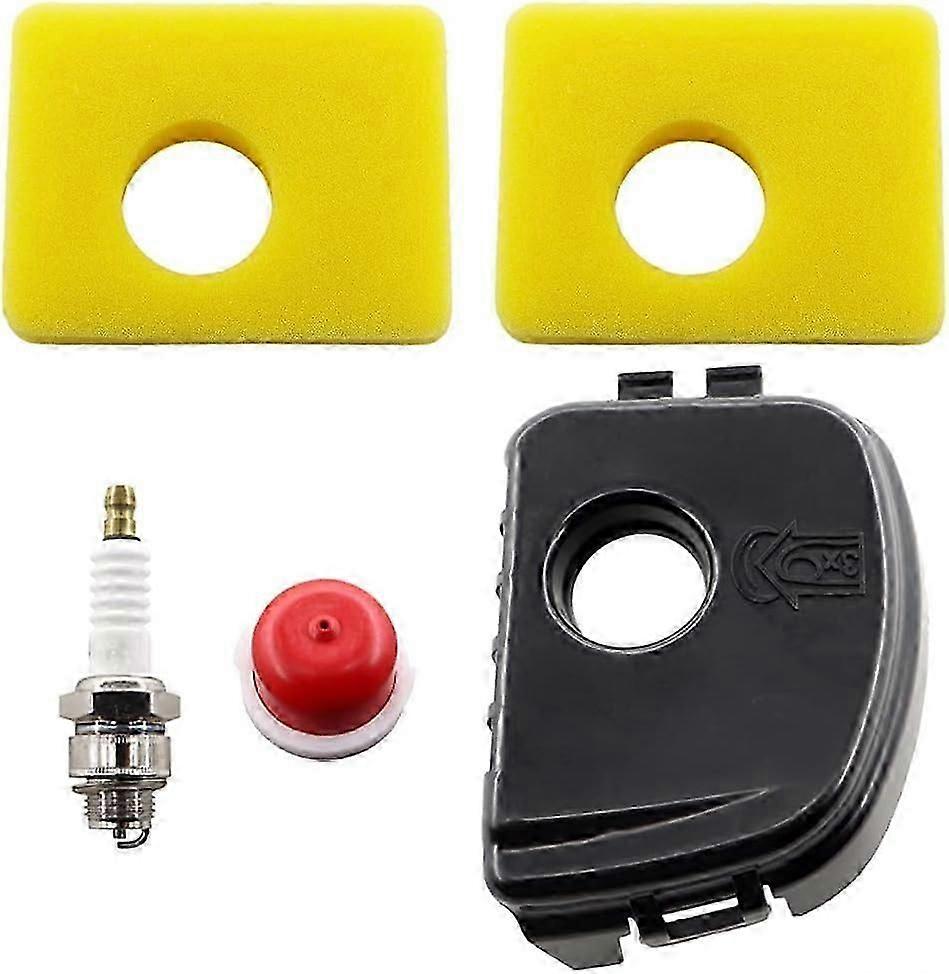 غطاء فلتر الهواء مع فلتر لسلسلة Briggs & Stratton 300e 450e 550e (595660 ، 594281 ، 799579 ، 5434 ، 4248 ، 09P702)