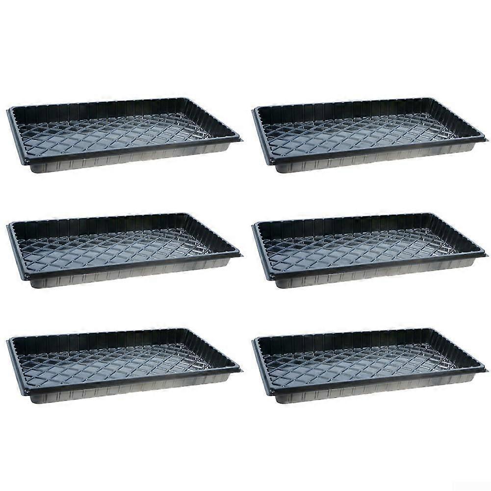 Seed Germination Tray Set of 6, No-Hole Starter Plates for Small Plants, Greenhouse and Garden Use, Green, 54.5 x 28.5 cm