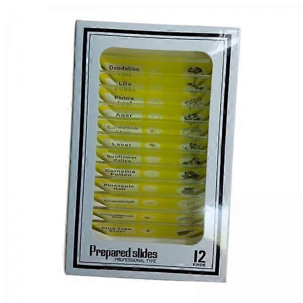 4x12 piese pregătite diapozitive de microbiologie educaționale pentru copii acasă