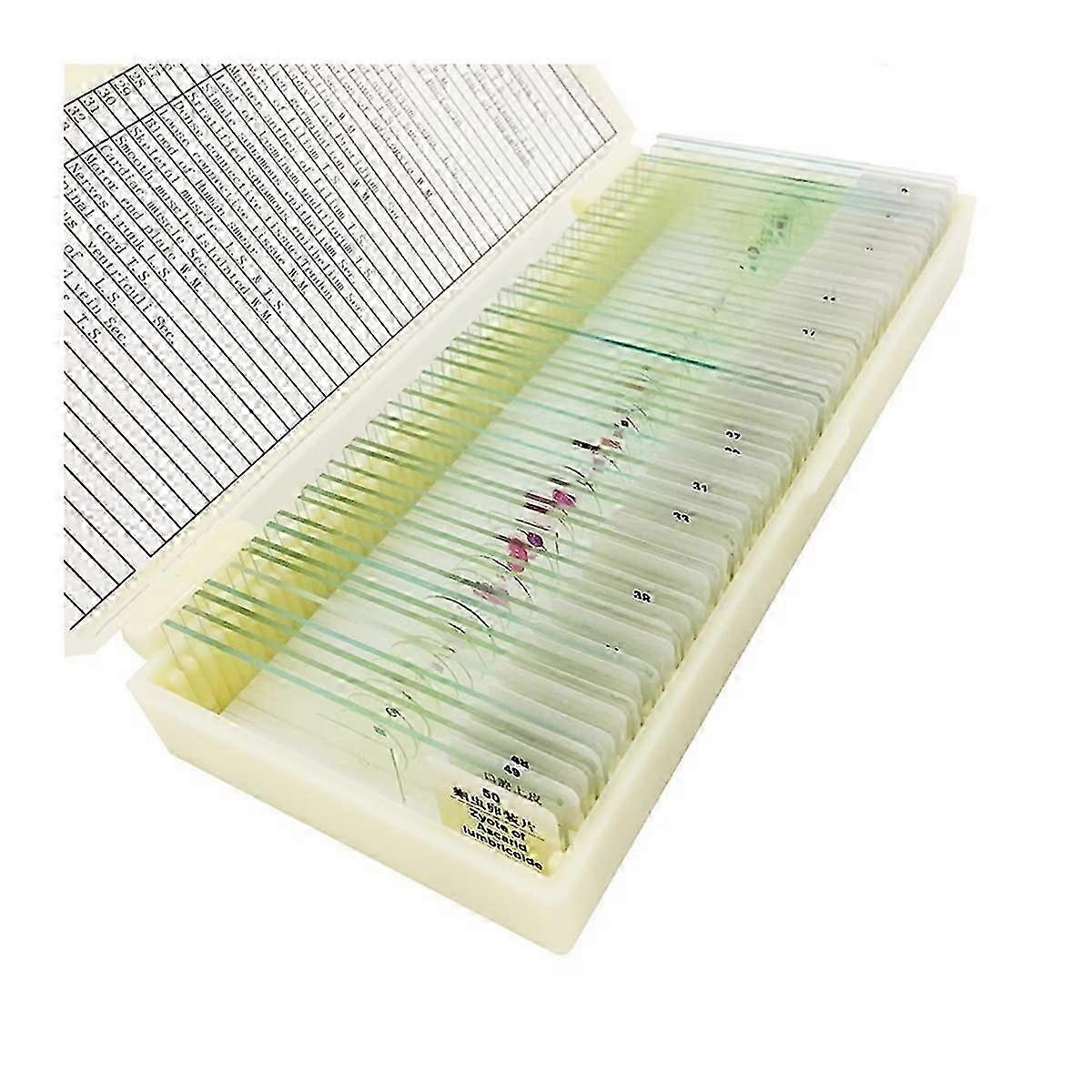 2025 Microscope Accessories Kit Prepared Microscope Slides Glass Biological Specimen Animal Plant for 12 50 100 Microscope Slides