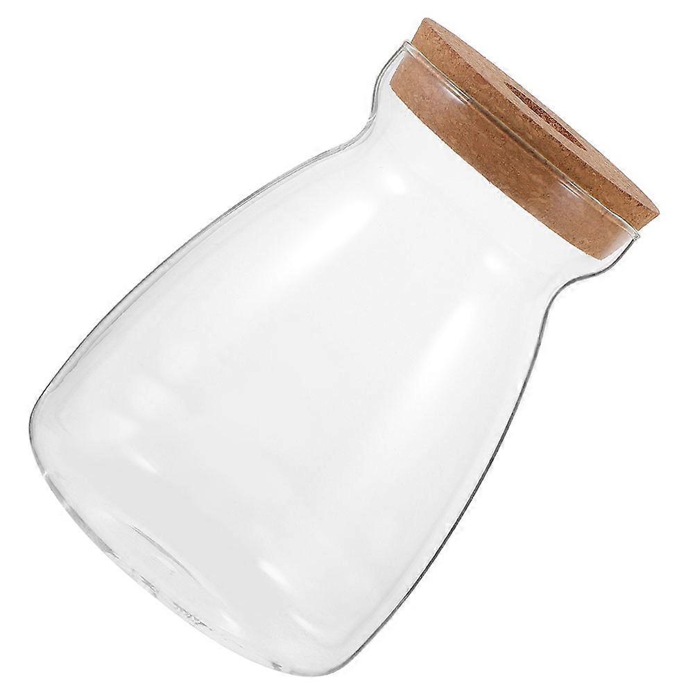 Glass Propagation Jar with Lid for Hydroponic Plants, Multifunctional Terrarium for Home or Office Decor, Aesthetic Micro Landscape
