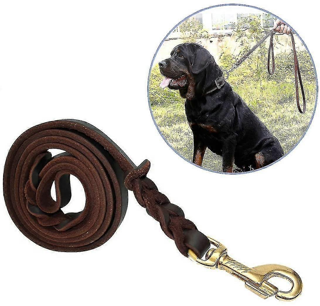 170cm Braided Leather Dog Leash, Waterproof and Durable