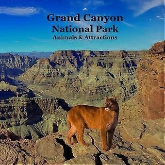 Grand Canyon Parkin eläimet ja nähtävyydet Lasten kirja: Loistava tapa lapsille nähdä Grand Canyonin kansallispuisto
