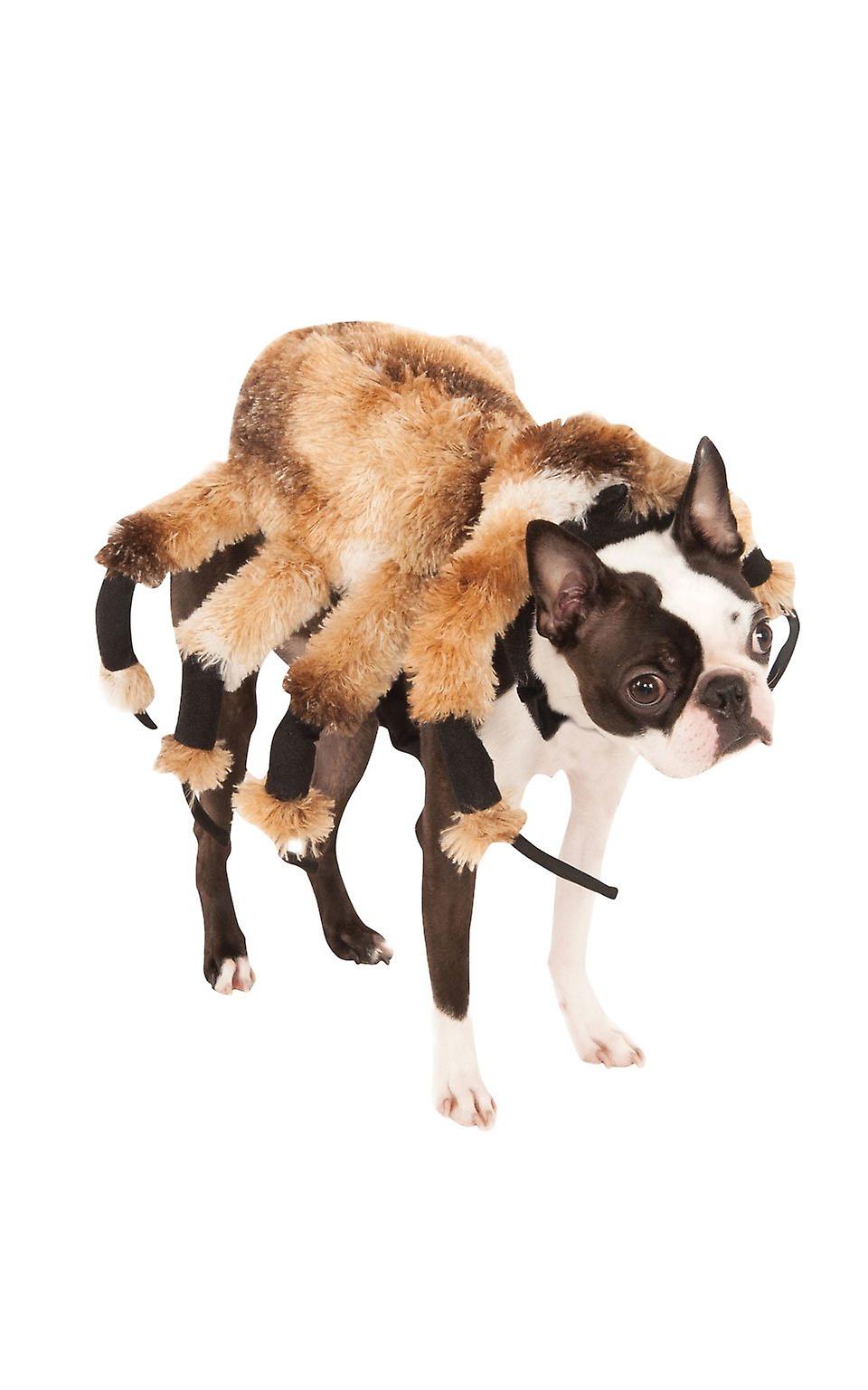 Jättespindel kostym 580358lxll