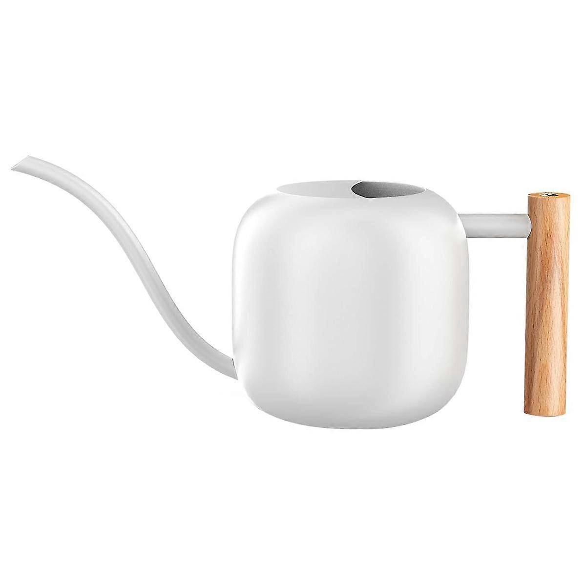 Water Can Indoor Plant 1.2L/41Oz with Long Spout Small Water Can Metal Watering Can Pot for Indoor