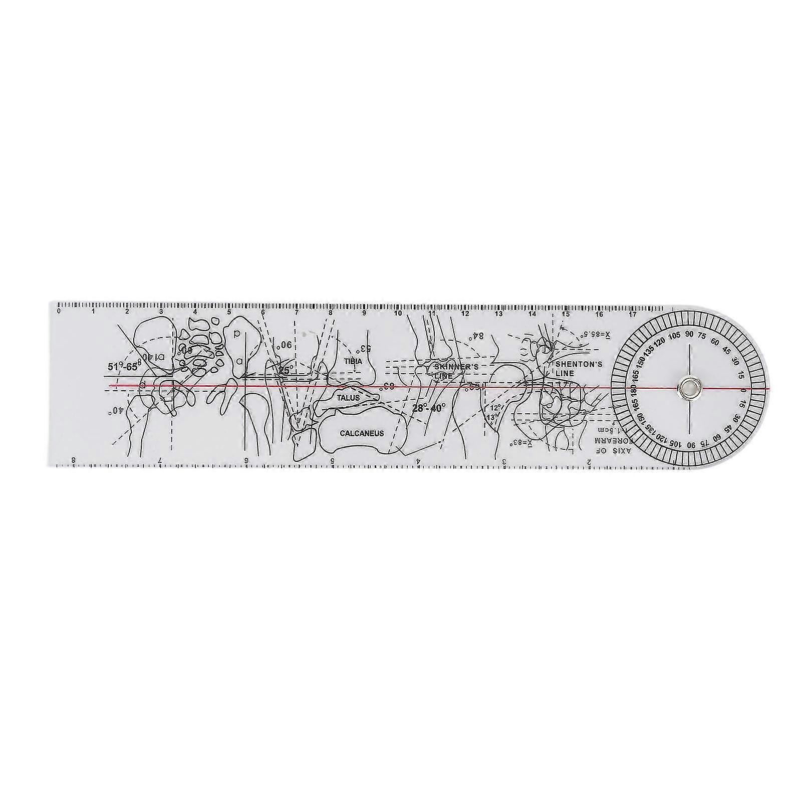 Joint Ruler with Transparent Plastic Spinal Goniometer - Easy Angle Protractor for Joints and Limbs Measurement
