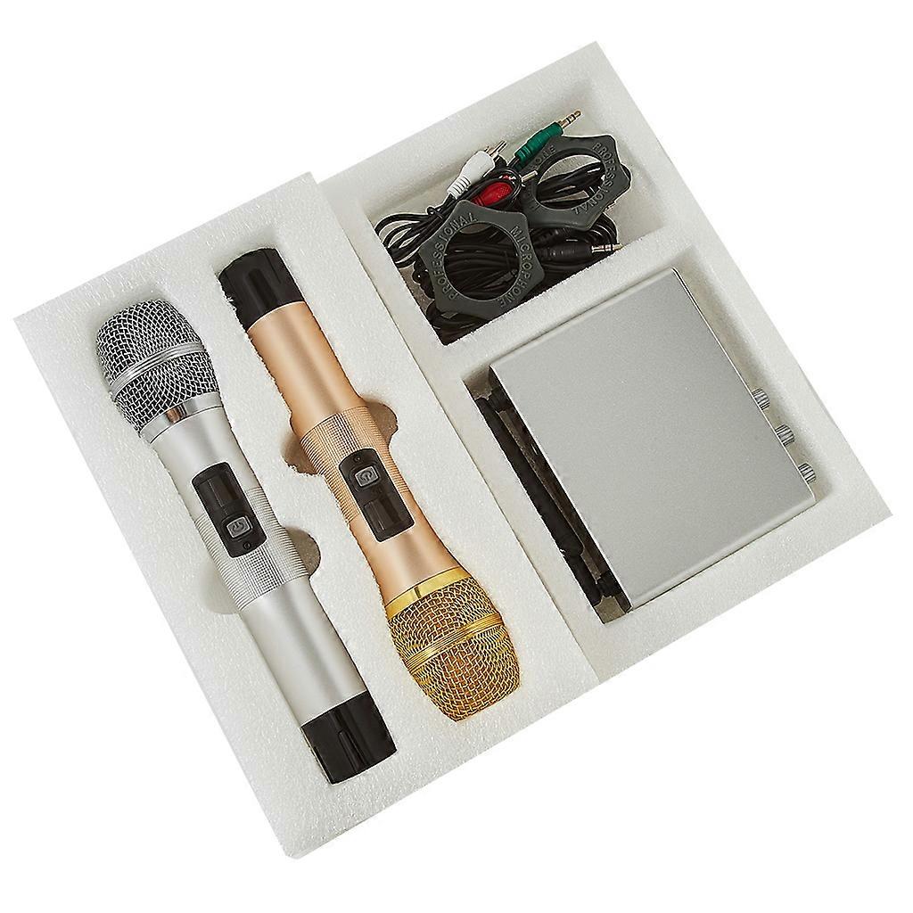 Wireless Microphone Professional UHF Dual System Handheld Mic for Stage