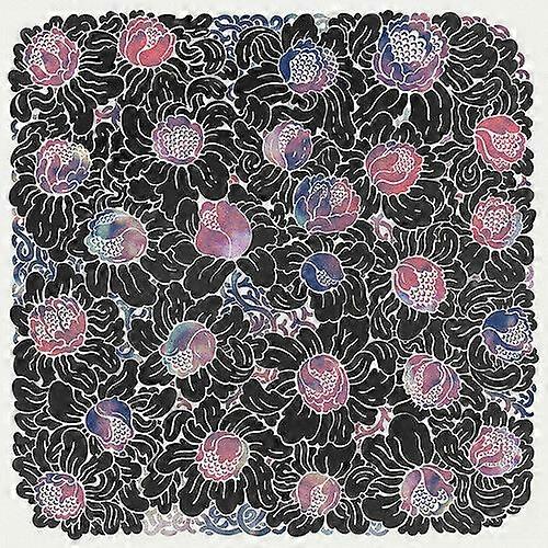 Other Colors Natural Motion CD (2017) NEW