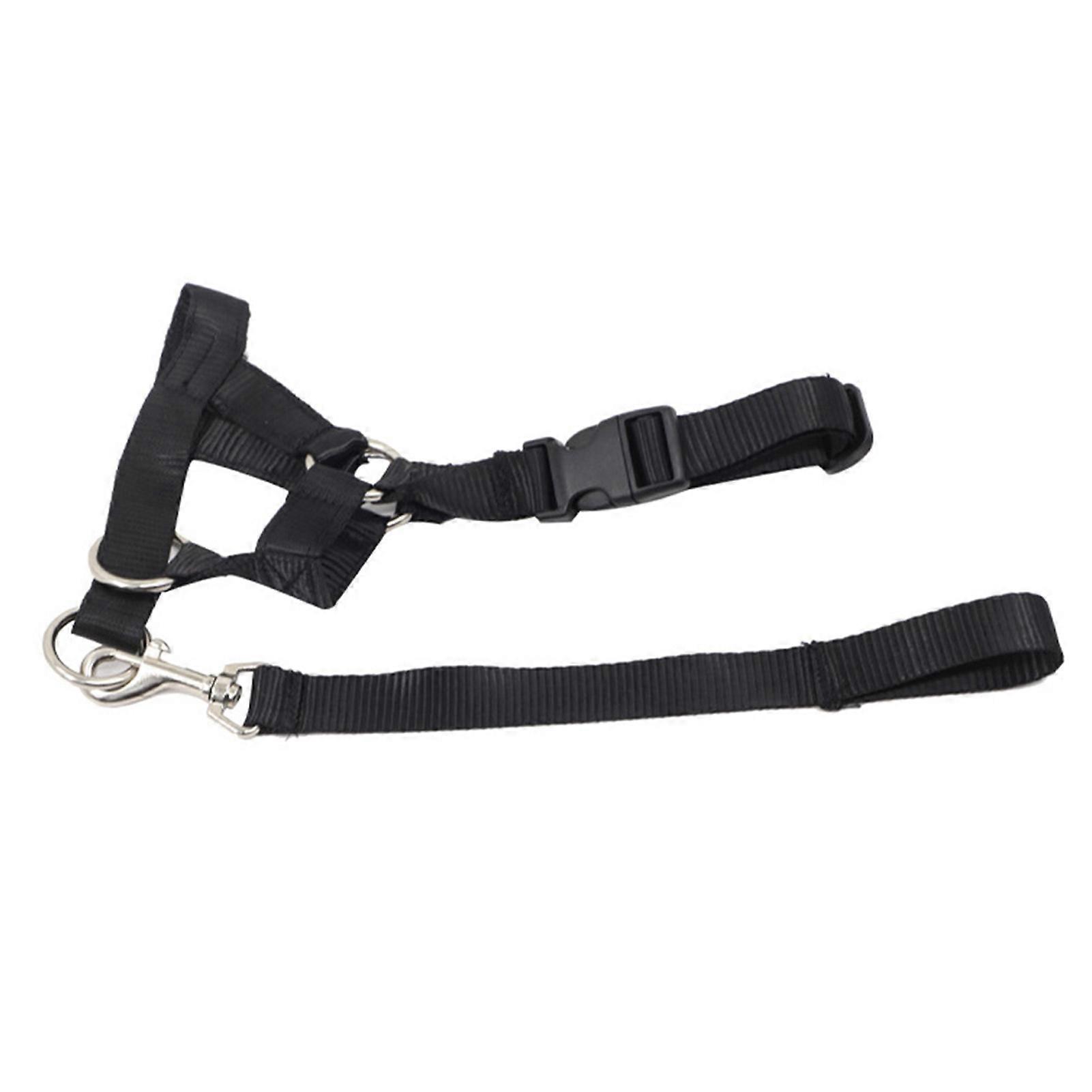 Dog Mouth Muzzle with Towing Rope Adjustable Dog Head Collar Halter Prevent From Biting Barking Running Away S